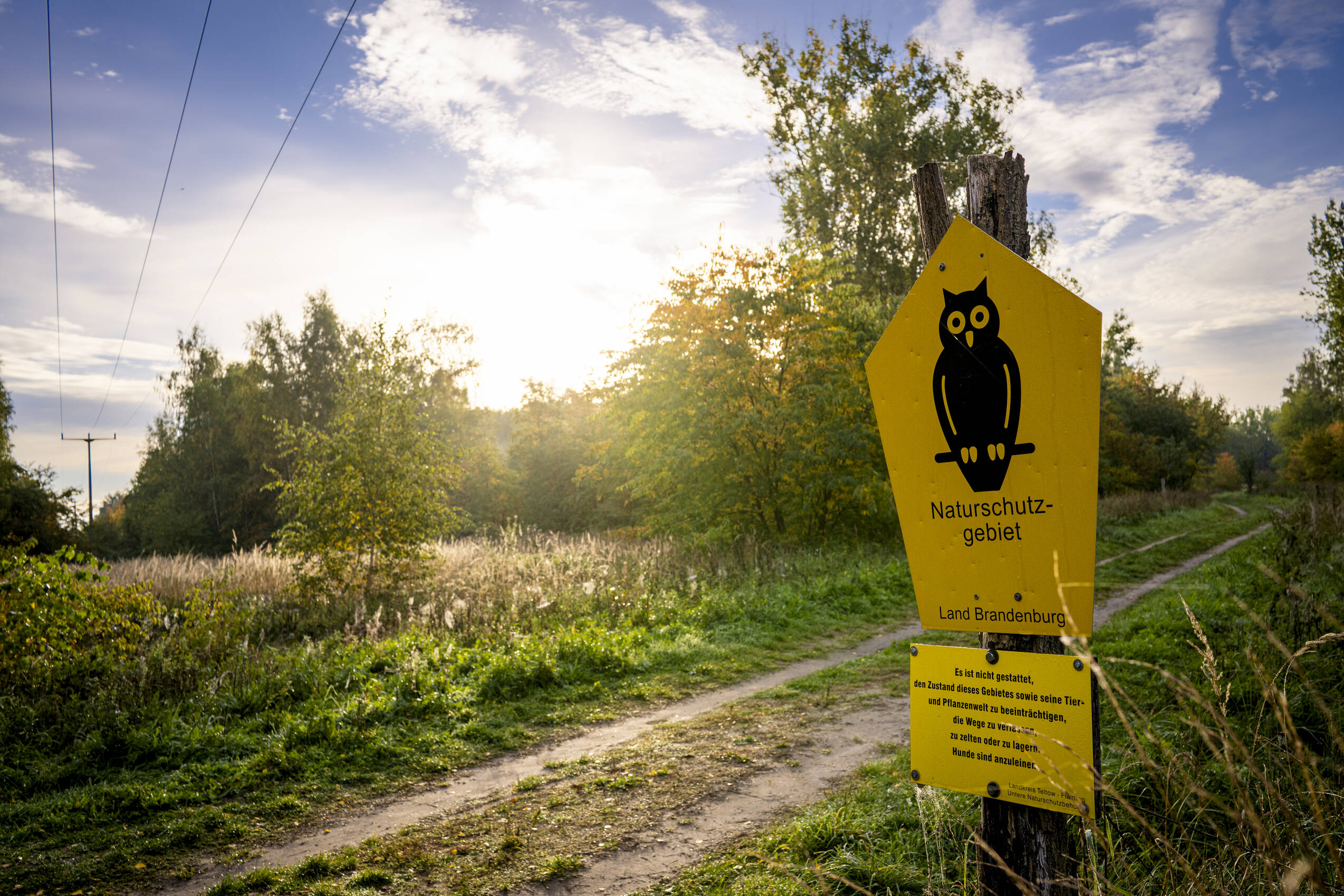 Foto by René Löffler Wildnisgebiet Jüterbog2023